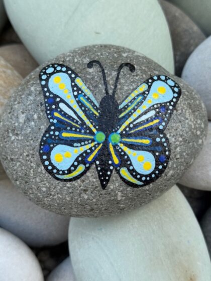 Butterfly 1