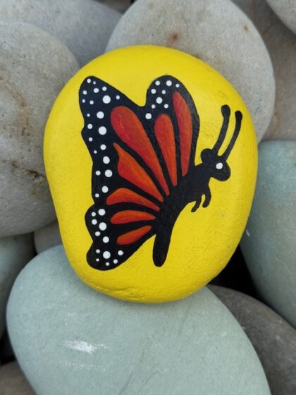Butterfly 1