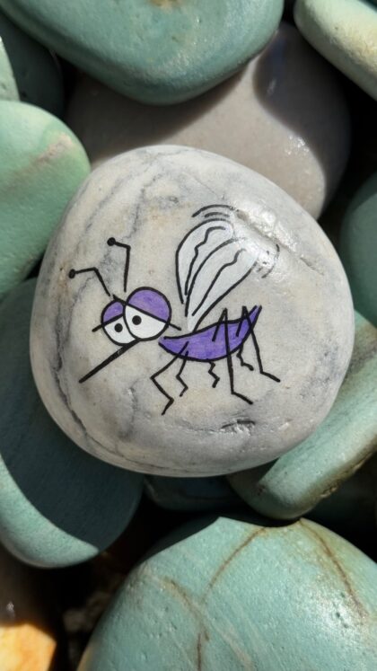 Mosquito