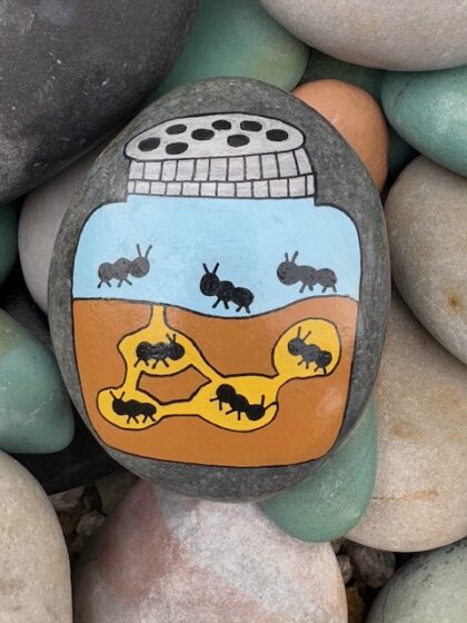 Ants in a Jar
